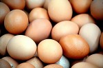 fresh-eggs